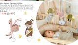 Mini-Spieluhr Flamingo bei GLOBUS im Rüsselsheim Prospekt für 12,99 €