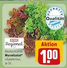 Wurzelsalat Salattrio von REWE Regional im aktuellen REWE Prospekt für 