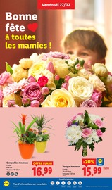 Jardinage Angebote im Prospekt "Profiter d'offres exclusives, ça vaut le coup." von Lidl Jardinage Angebote im Prospekt "Profiter d'offres exclusives, ça vaut le coup." von Lidl auf Seite 28