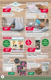 Hundefutter im Kiebitzmarkt Prospekt in Celle Aktueller Kiebitzmarkt Prospekt mit Hundefutter, "Mai-Feiertage", Seite 6