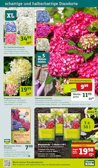 Blumenerde im Pflanzen Kölle Prospekt "Ich mach´s mir schön" mit 14 Seiten (Stuttgart)