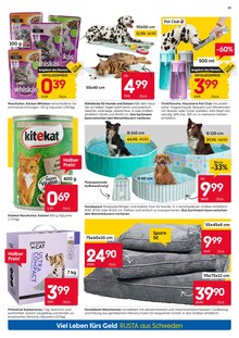 Katzenfutter im Rusta Prospekt "Viel Leben fürs Geld - RUSTA aus Schweden" mit 24 Seiten (Bremen)