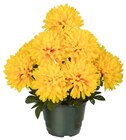 Chrysanthème artificiel en promo chez Carrefour Orange à 7,99 €