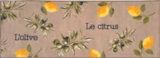 Tapis de cuisine - HOME CREATION à 9,99 € dans le catalogue Aldi