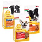 SUR TOUTES LES CROQUETTES POUR CHIEN - CARREFOUR COMPANINO VITALIVE - Carrefour Market à Rueil-Malmaison SUR TOUTES LES CROQUETTES POUR CHIEN - CARREFOUR COMPANINO VITALIVE en promo chez Carrefour Market Rueil-Malmaison