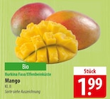 Mango Angebot in Wetschen Mango im aktuellen Prospekt bei famila Nordost in Wetschen