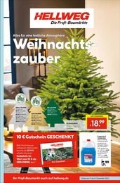 Hellweg Prospekt für Brandenburg mit 16 Seiten Hellweg Prospekt für Brandenburg: "Die Profi-Baumärkte", 16 Seiten, 11.12.2023 - 16.12.2023