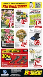 Aktueller B1 Discount Baumarkt Prospekt mit Gartenpflanzen, "BESTPREISE DER WOCHE!", Seite 8