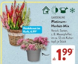 Heidekraut im Angebot bei ALDI SÜD in Pirmasens Heidekraut Angebote bei ALDI SÜD Pirmasens für 1,99 €
