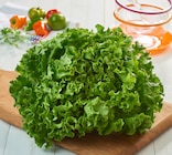 Salade Batavia verte dans le catalogue Carrefour Market