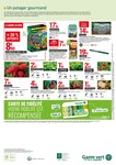 Plant De Tomates Plant De Tomates