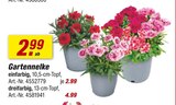 Angebot im toom Baumarkt Eilenburg Prospekt toom Baumarkt Eilenburg Prospekt mit im Angebot für 2,99 €