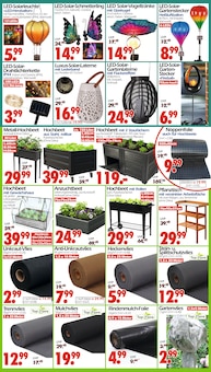 Solar-Led-Lampen im Wreesmann Prospekt "DEIN SAISON- & SONDERPOSTENMARKT!" mit 12 Seiten (Dresden)