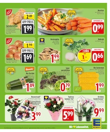 Orchidee im EDEKA Prospekt "Wir lieben Lebensmittel." mit 32 Seiten (München)