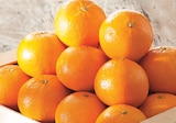 Intermarché Express Jouy-le-Moutier - Promo Clementine Promo Clementine à 1,69 € dans le catalogue Intermarché Express à Jouy-le-Moutier