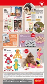 Spielwaren im Zookauf Prospekt in Leverkusen Aktueller Zookauf Prospekt mit Spielwaren, "SOMMERLICH FRISCHE SPARPREISE", Seite 5