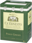Pinot Grigio delle Venezie DOC im METRO Prospekt Pinot Grigio delle Venezie DOC von Ca' Ernesto im aktuellen METRO Prospekt für 17,72 €
