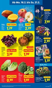 Zimmerpflanzen im aktuellen Lidl Prospekt (Essen) Zimmerpflanzen im Lidl Prospekt "LIDL LOHNT SICH" mit 68 Seiten (Essen)