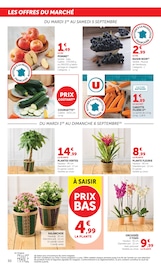 Jardinage en promo dans le catalogue U Express à la page 30