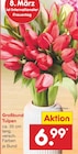 Großbund Tulpen Angebote bei Netto Marken-Discount Dresden für 6,99 €