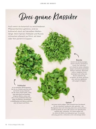 Alnatura Spinat im Prospekt 