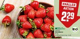 Bio Erdbeeren Angebote von REWE Bio bei REWE Dreieich für 2,29 €