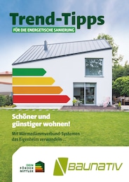 Der aktuelle Baunativ Prospekt "Trend-Tipps für die energetische Sanierung" mit  Seiten (Oschatz)