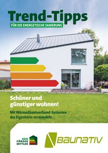 Baunativ Prospekt Trend-Tipps für die energetische Sanierung mit 8 Seiten