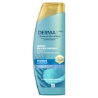 Shampooing - DERMA PRO en promo chez Carrefour Market Shampooing - DERMA PRO dans le catalogue Carrefour Market