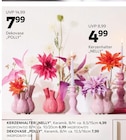Aktuelles Dekovase 'POLLY' Angebot bei mömax in Karlsruhe ab 4,99 €