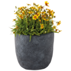 Pot "Egg Arizona" dans le catalogue Jardiland