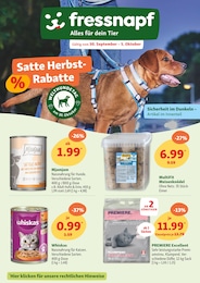 Katzenstreu Angebot im aktuellen Fressnapf Prospekt auf Seite 1