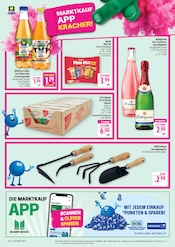 Tomaten im Marktkauf Prospekt in Schweinfurt Aktueller Marktkauf Prospekt mit Tomaten, "AUSWAHL RIESIG, PREISE NIEDRIG", Seite 5