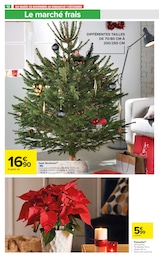 Sapin Nordmann Angebote im Prospekt "PLATS D'HIVER" von Carrefour Market auf Seite 14