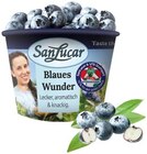 Blaues Wunder Heidelbeeren Angebote von SanLucar bei REWE Heidelberg für 3,99 €