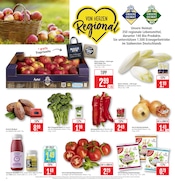 Aktueller Marktkauf Prospekt mit Gemüse, "Aktuelle Angebote", Seite 4