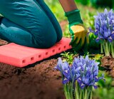 Kniekissen von  im aktuellen Marktkauf Prospekt für 1,99 €