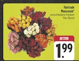 EDEKA Rehau - Fairtrade Moosrosen Angebot im Prospekt Fairtrade Moosrosen bei EDEKA im Rehau Prospekt für 1,99 €