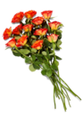 Deko Blumen im Kaufland Prospekt Fairer Strauß im aktuellen Kaufland Prospekt für 5,49 €