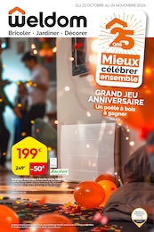 Offre Electroménager dans le catalogue Weldom du moment à la page 1