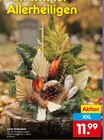 Grabschale im Netto Marken-Discount Prospekt Grabschale im aktuellen Netto Marken-Discount Prospekt für 11,99 €