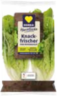 EDEKA Frischemarkt Oevenum - Mini Romana Salat Angebot im Prospekt Mini Romana Salat bei EDEKA Frischemarkt im Oevenum Prospekt für 0,85 €