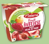 Fruit Intense Pomme/Pêche de Vigne Sans Sucres Ajoutés - Materne en promo chez Netto Fruit Intense Pomme/Pêche de Vigne Sans Sucres Ajoutés - Materne dans le catalogue Netto