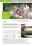 Zaun Zaun
