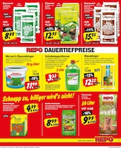 Grabpflege im Repo Prospekt in Lehrte Aktueller Repo Prospekt mit Grabpflege, "Aktuelle Angebote", Seite 13