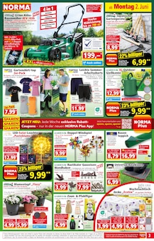 Norma Prospekt der aktuellen Woche, gĂŒltig von 02.06.2025 bis 07.06.2025 Aktueller Norma Prospekt "Mehr fĂŒrs Geld" mit 20 Seiten