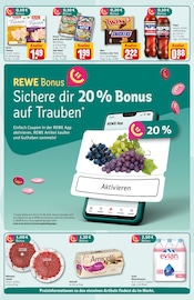 Ähnliche Gerolsteiner Angebote im Prospekt "Dein Markt" von REWE in Brandenburg Ähnliche Angebote wie Gerolsteiner im Prospekt "Dein Markt" auf Seite 2 von REWE in Brandenburg