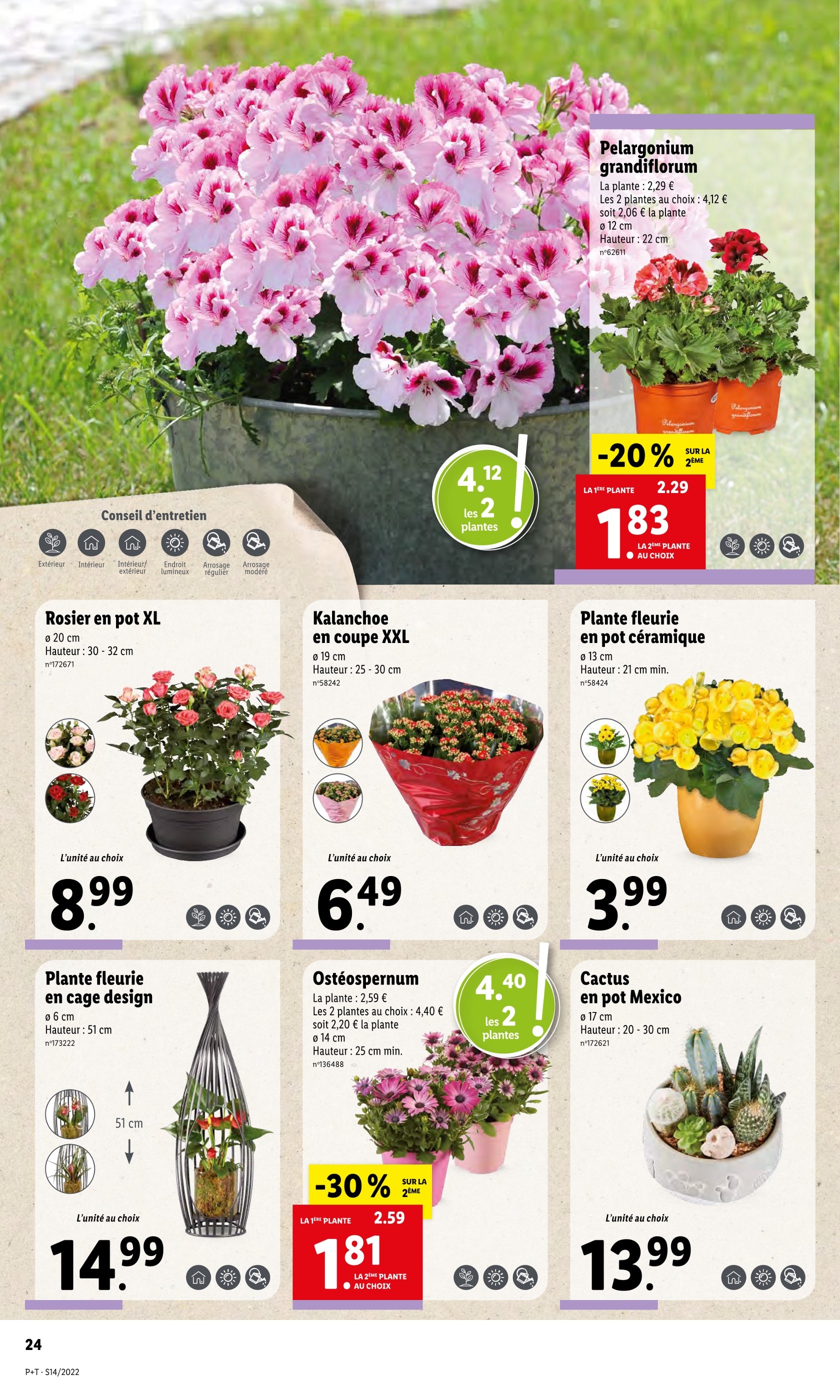 Sitemapcdatahttpsmodeinf Inetcompots De Fleurs Lidl