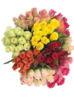 Großblütige Rosen im EDEKA Prospekt zum Preis von 4,99 €