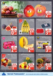 Pflanzen im EDEKA Prospekt in Cuxhaven Aktueller EDEKA Prospekt mit Pflanzen, "Top Angebote", Seite 8